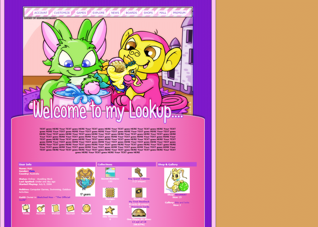 Playtime Neopets User Lookup